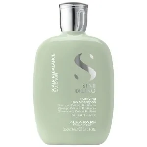 Alfaparf - Champú Anticaspa Semi di Lino Scalp Rebalance Purifying Low Shampoo 250 ml