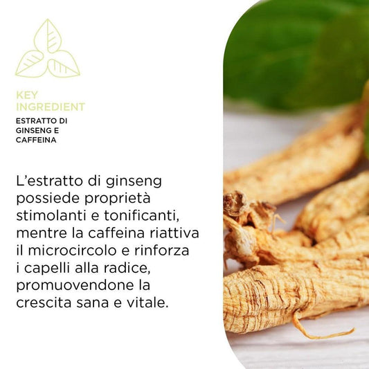 Kemon - Champú Energizante Hair Care Energy 250 ml