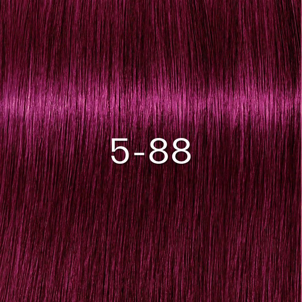 Schwarzkopf - Tinte sin Amoniaco Igora Zero AMM 5-88 Castaño Claro Rojo Intenso 60 ml