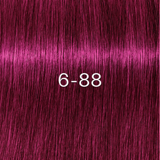 Schwarzkopf - Tinte sin Amoniaco Igora Zero AMM 6-88 Rubio Oscuro Rojo Intenso 60 ml